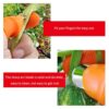 Silicone Thumb Cutting Tool Knife