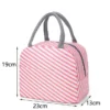 Insulated Tiffin Bag