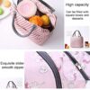 Insulated Tiffin Bag